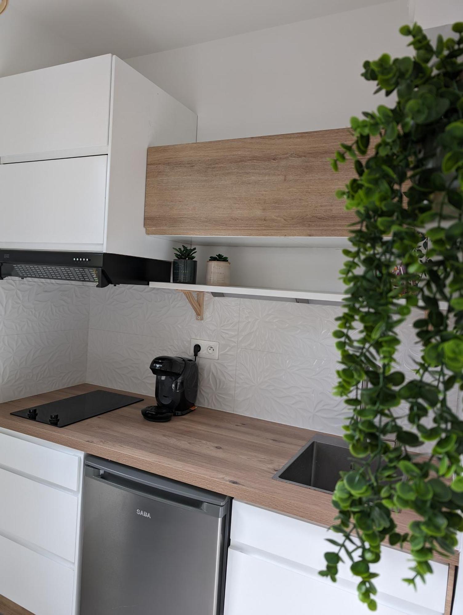 Appartement Cosy Au Calme A Cote Du Zoo Avec Balcon Et Parking Securise Montpellier Extérieur photo